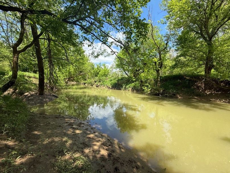 027 another look at Hinkston Creek after a hard spring rain