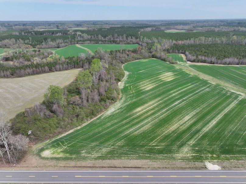 DJI_20260303063803_0553_D