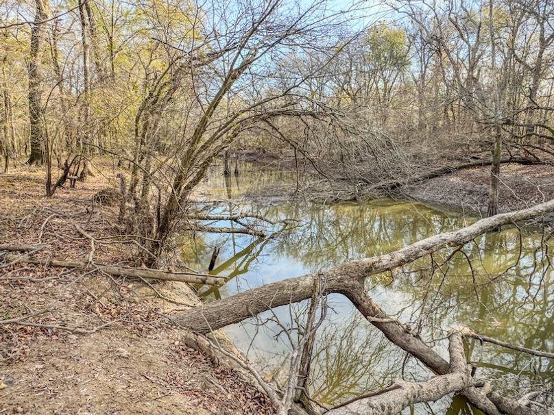 St. Francis 216.9 Calvin Parker Farms Profile -34