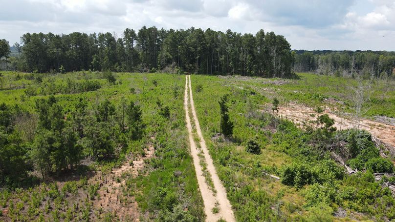 dji_fly_20230715_115500_193_1689436514847_photo