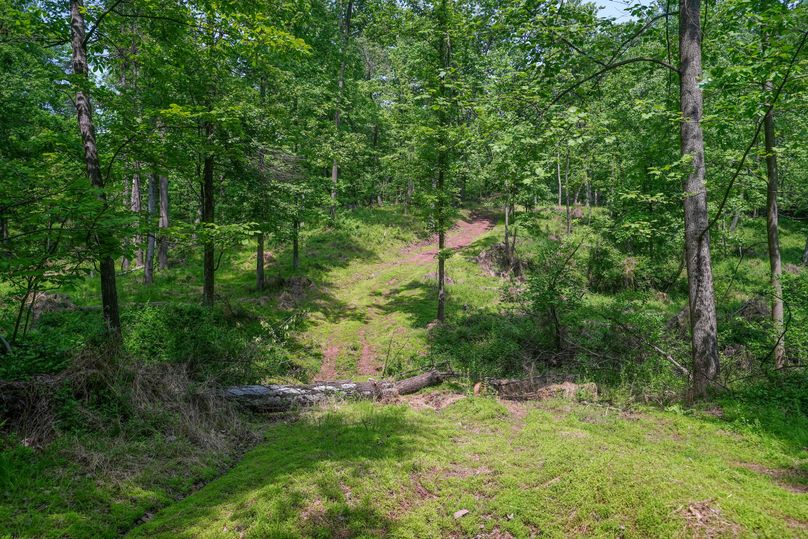 York 86 Ground Photos-04