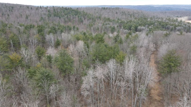 22 dji_fly_20250325_113054_950_1742916685498_photo