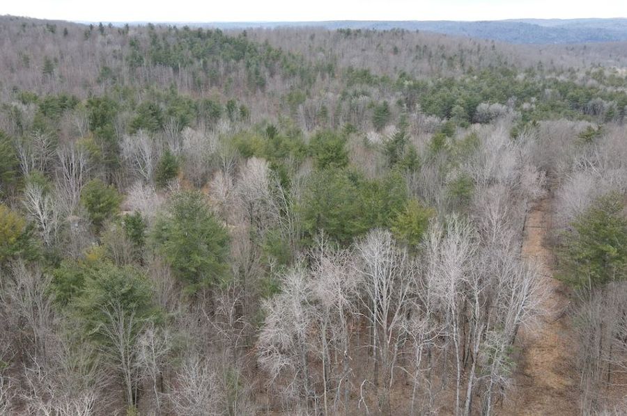 22 dji_fly_20250325_113054_950_1742916685498_photo