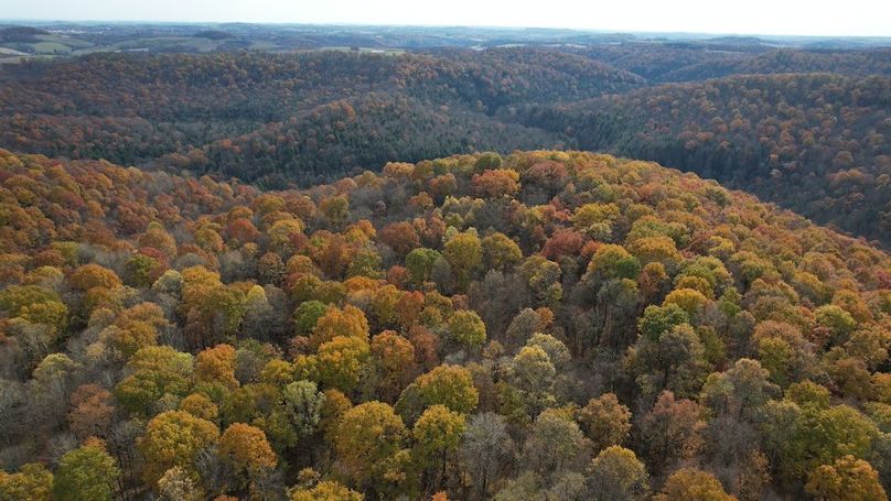 dji_fly_20251105_123424_914_1762380915688_photo