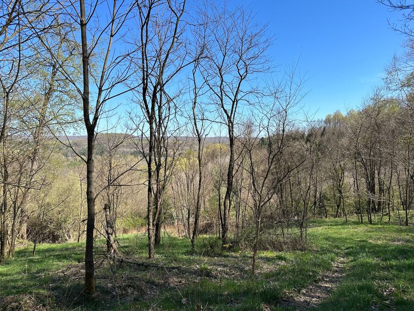 E2D2A90C-CD4A-4015-B7EB-40171143C2E8