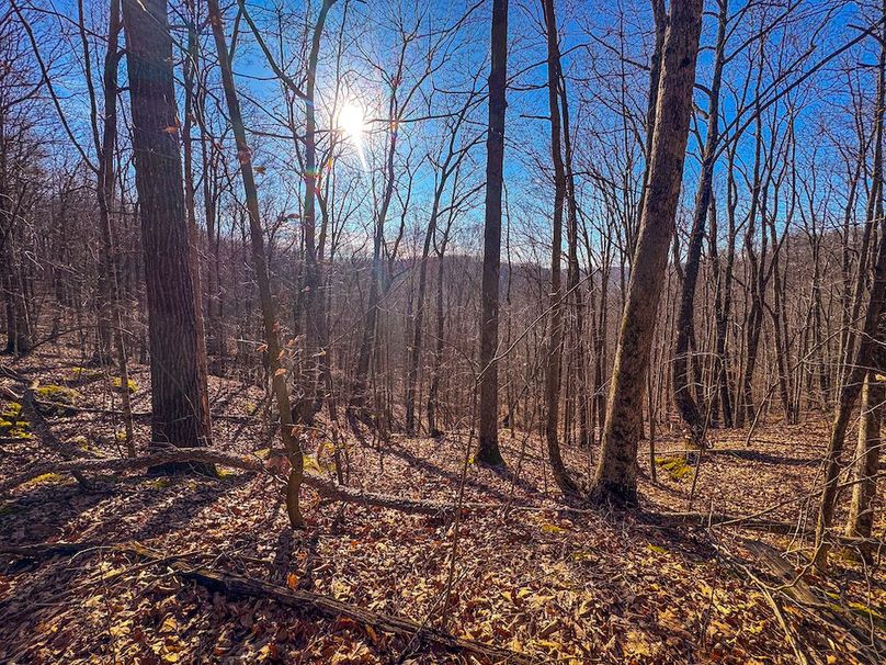 Lewis, WV 82.87 AC Barger-34