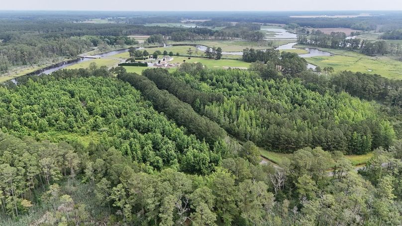 IMG20_60AC_dji_fly_20250613_103606_0020_1749852294872_photo