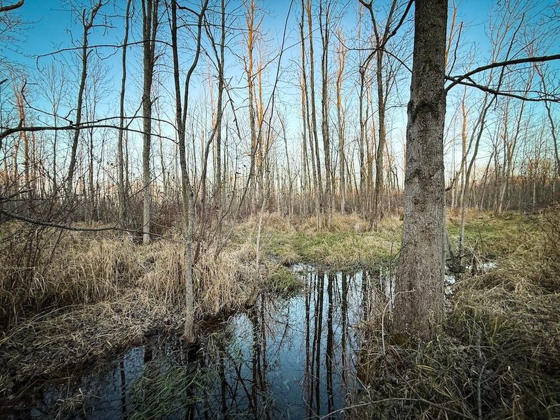 Wayne_29.09_BD_LandNorth_Parcel_22