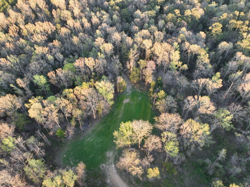 DJI_0017