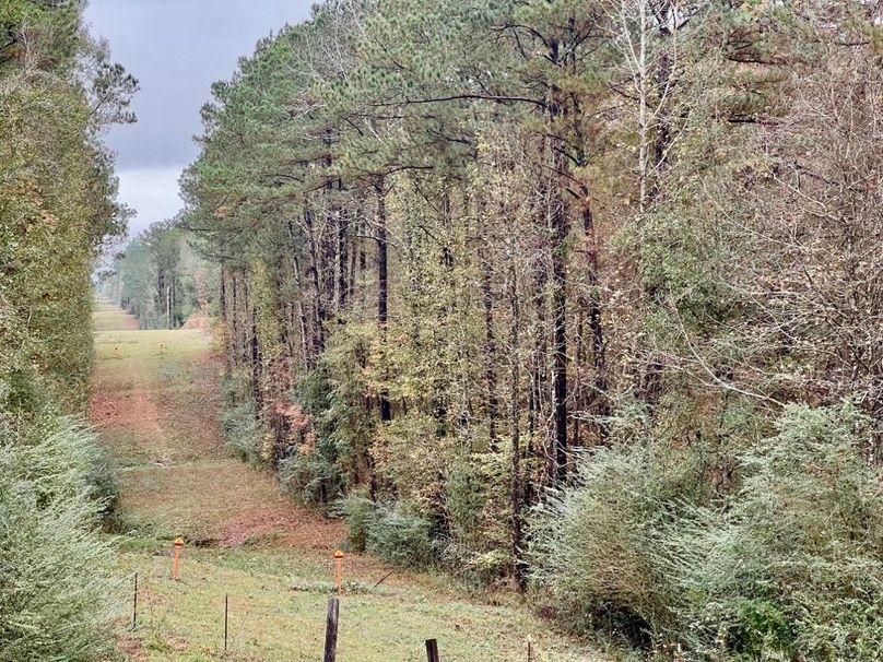 5BABC83A-9C4F-4346-B64E-A5F7B4CDBF78_1_201_a