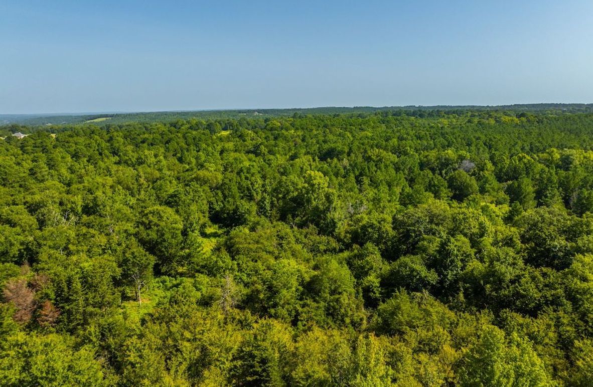 A1DJI_20240717050214_0131_D-HDR