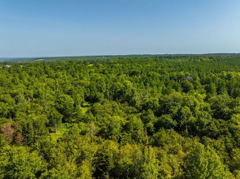 A1DJI_20240717050214_0131_D-HDR