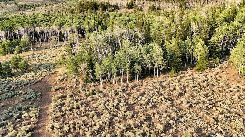 DJI_20250726191827_0348_D