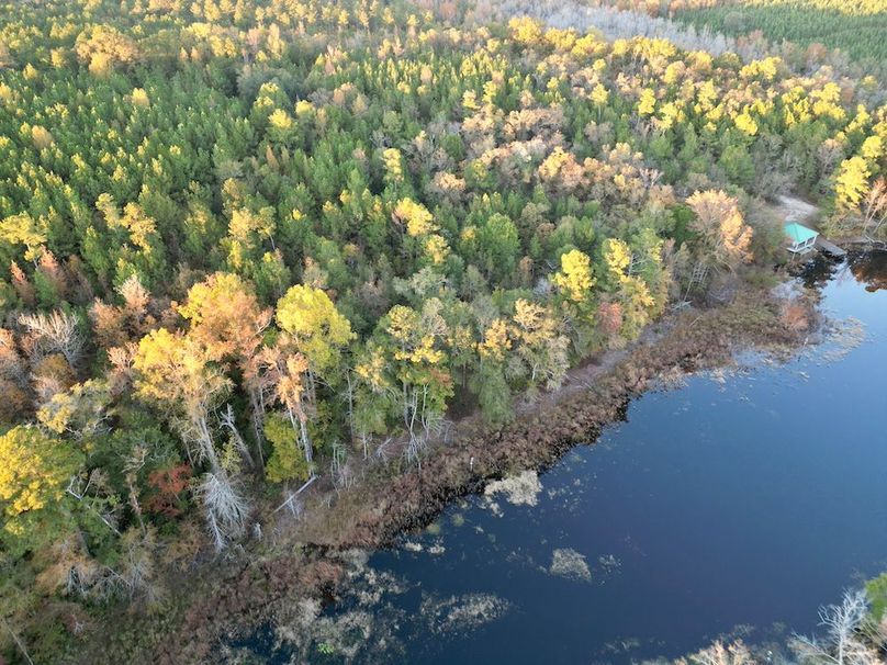 dji_fly_20251103_173110_402_1762260559911_photo