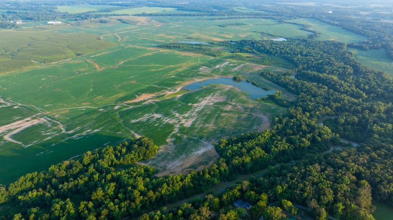 Copy of Copy of DJI_20250807180225_0039_D Large