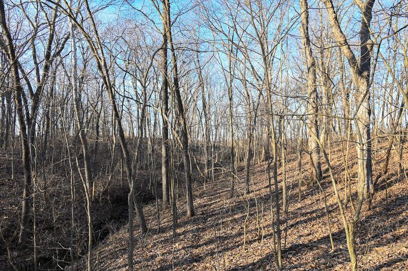 vandalia 450 (2)-2204