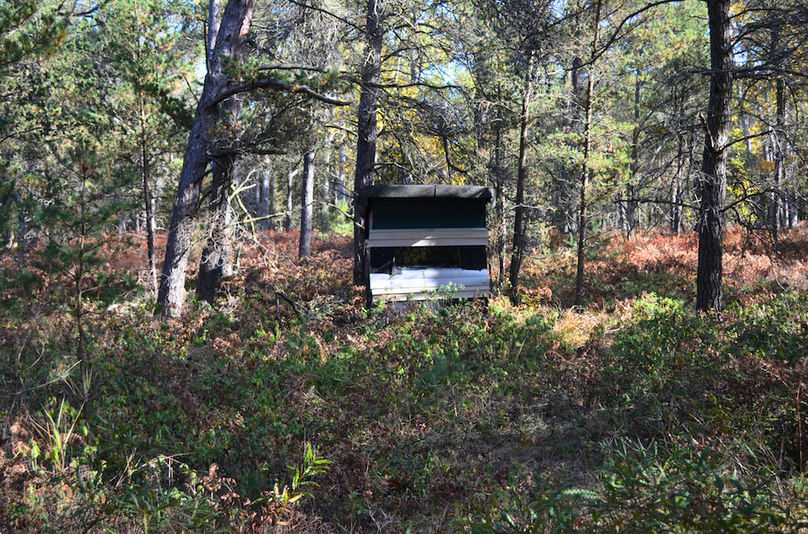 Screenshot 2025-11-14 at 11.09.29 AM