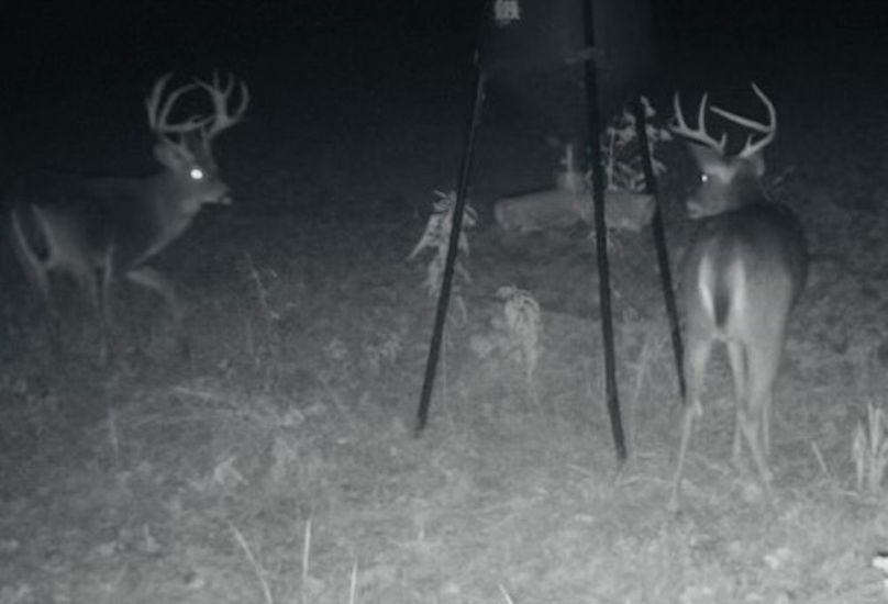 E3AD53E6-F0AD-4A65-B461-6BF6737A2857_4_5005_c