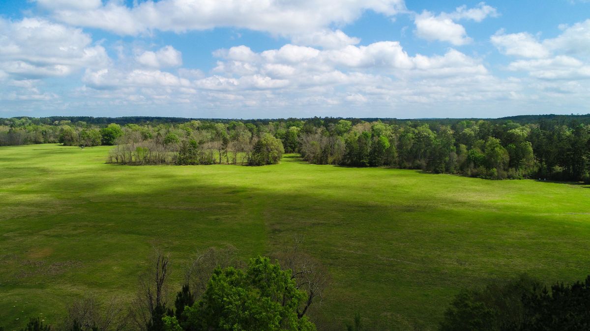 The Circle F Ranch Whitetail Properties