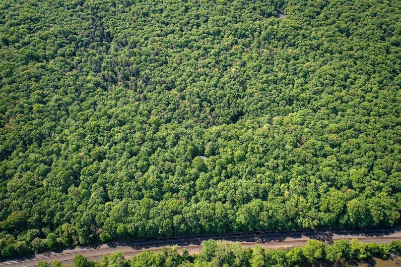 dji_fly_20250508_102312_946_1746714598268_photo