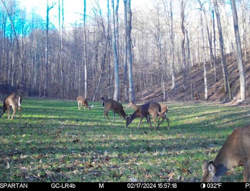 trail cam3