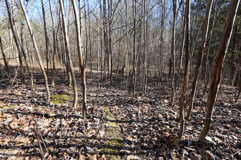 017 look closely...can you count all the rubs_