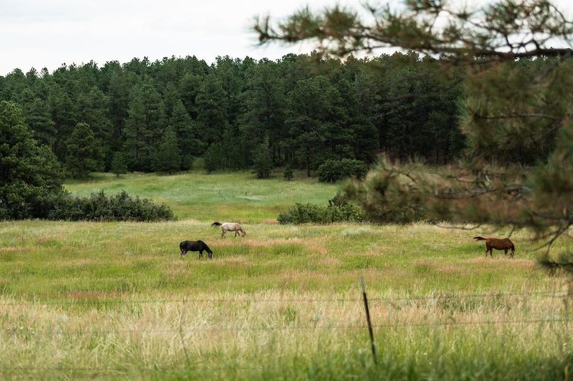 028 Neighboring Equine Facility