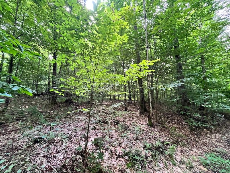 Oswego_133.72_Middleton_Photos_18