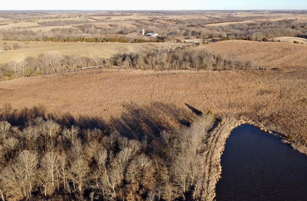 3D97D180-F268-46EB-A274-E8DA3114BA2C_1_201_a