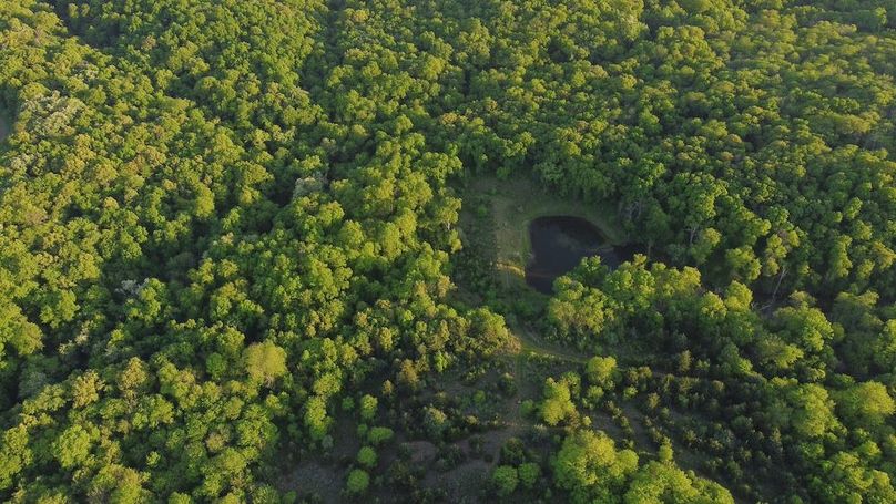 PAGE CO IA 130+_-_63