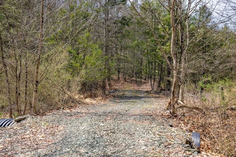 28-web-or-mls-IMG-28