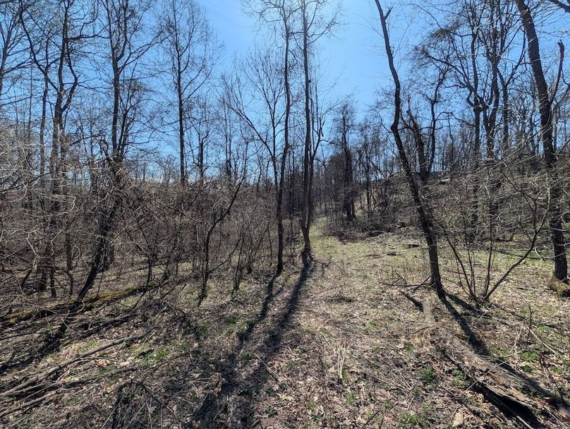 PXL_20260326_164949480