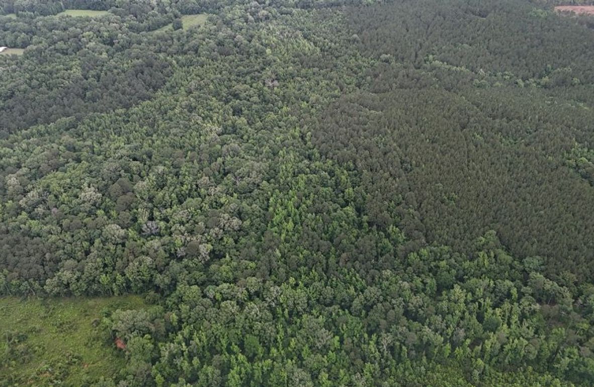 DJI_20260528015152_0015_D