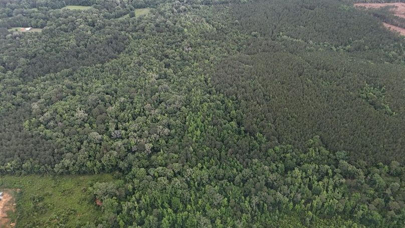 DJI_20260528015152_0015_D