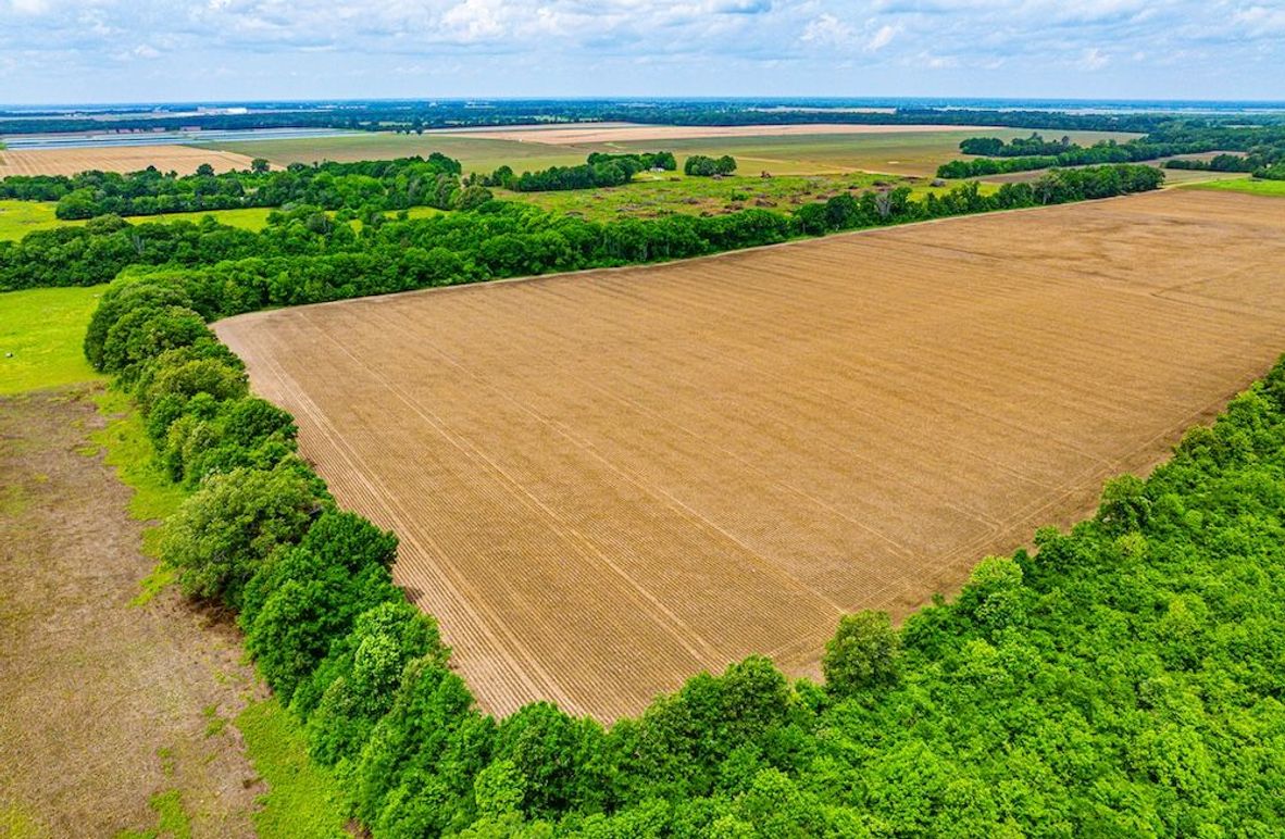 Copy of Noxubee 112.1 +- Tract 1-05