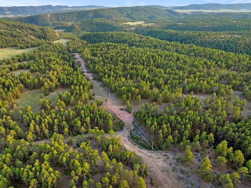05-DJI_20250507185932_0798_D