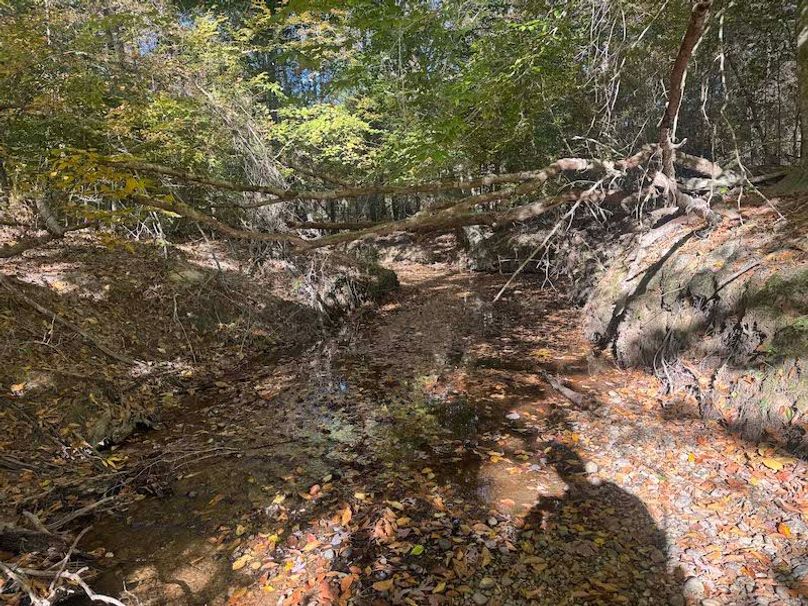 Jeff 11720251111_0215