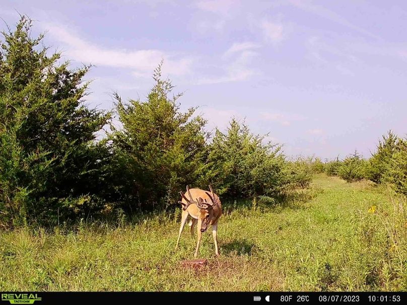 083DFCD1-92F2-46CD-B00E-72DE93408DF6