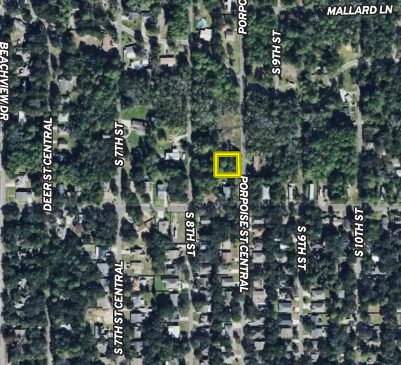 Screen Shot 2025-11-06 at 1.14.20 PM