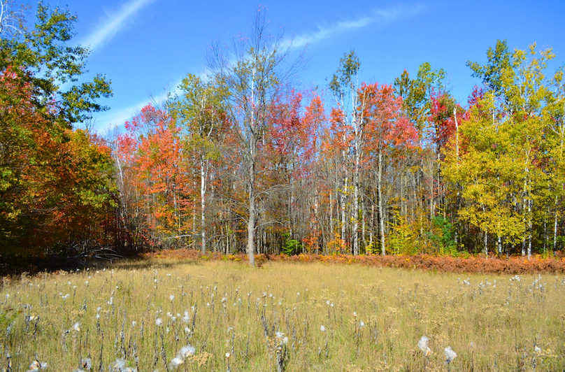 Screenshot 2025-11-11 at 12.21.16 PM