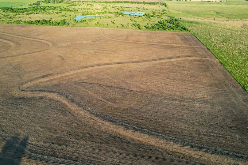 DJI_0569