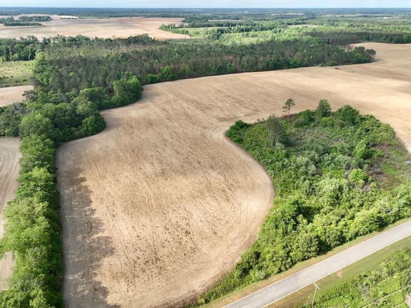 dji_fly_20260427_095300_605_1777299977823_photo