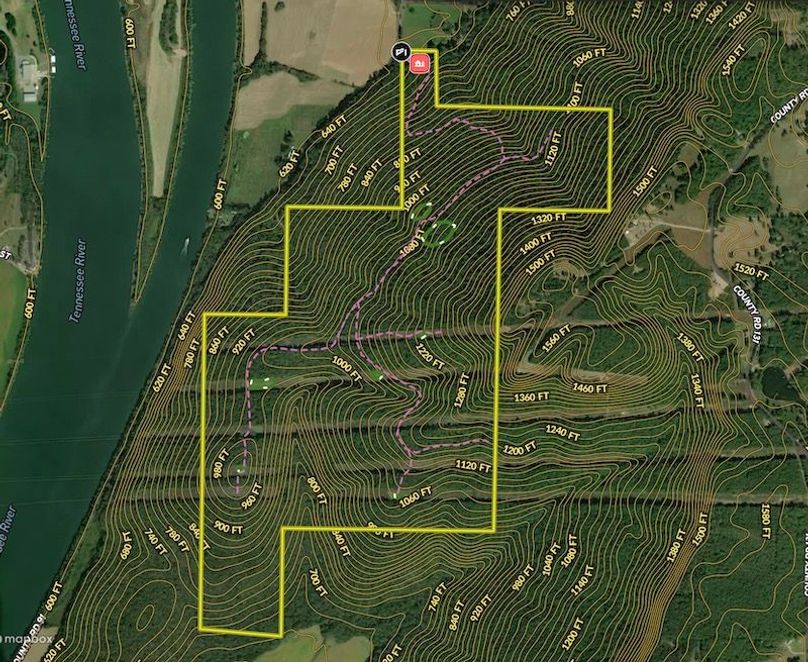 Screenshot 2026-01-30 at 11.50.09 AM