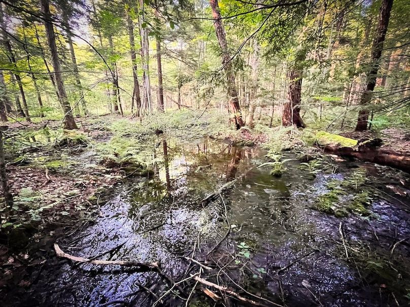 Oswego_25.66_Pettit_Photos_37