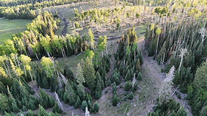 DJI_20250627200222_0038_D