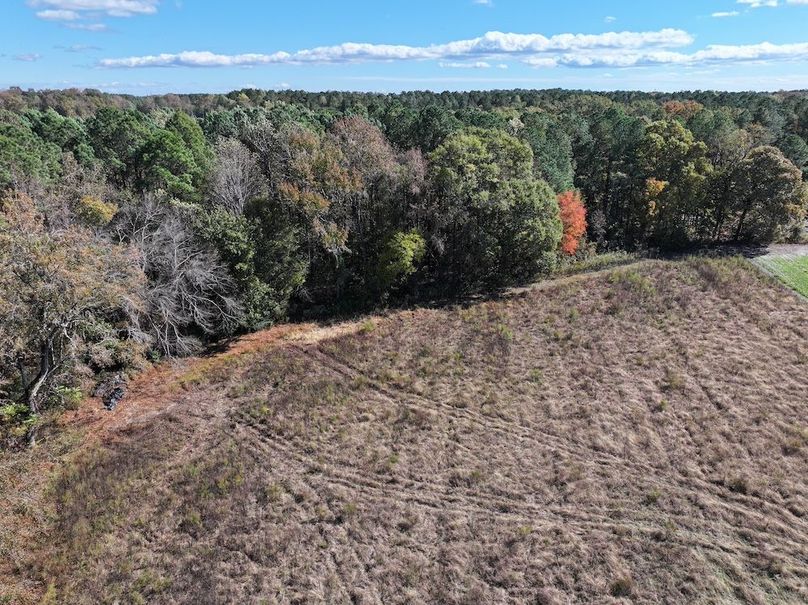 DJI_20251018124951_0178_D