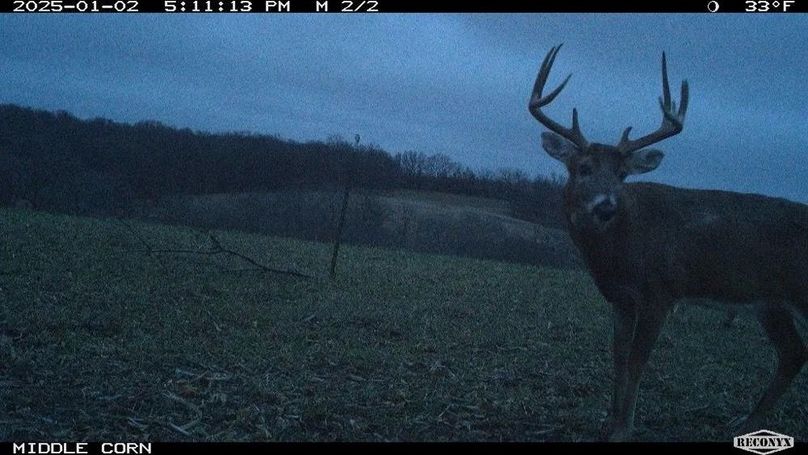 Copy of Copy of 1-5505585591