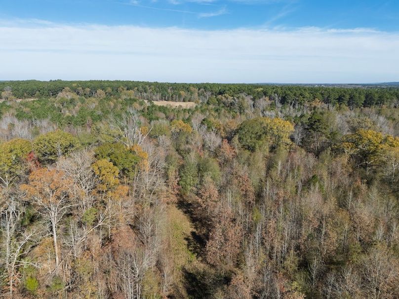 cropped and edited harrison 417ac pics-160