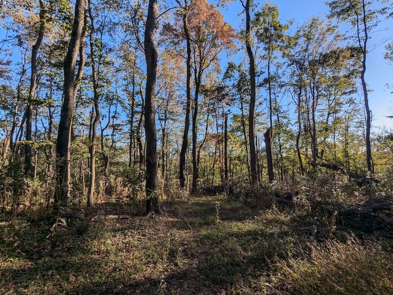 PXL_20251001_212148661