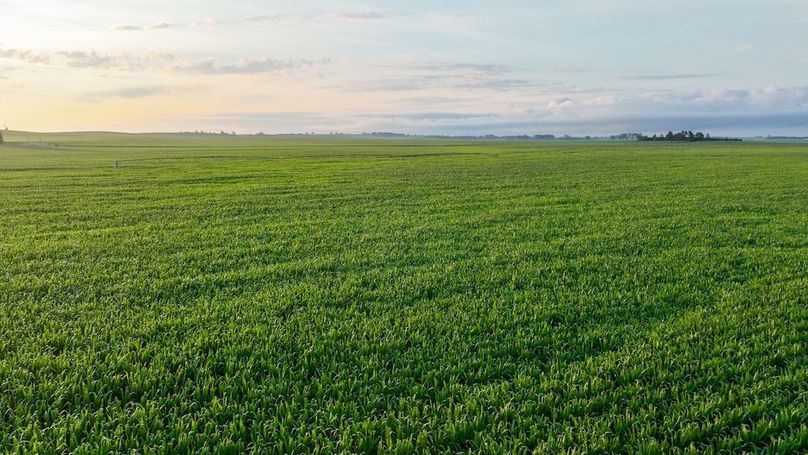 Copy of Copy of DJI_0342